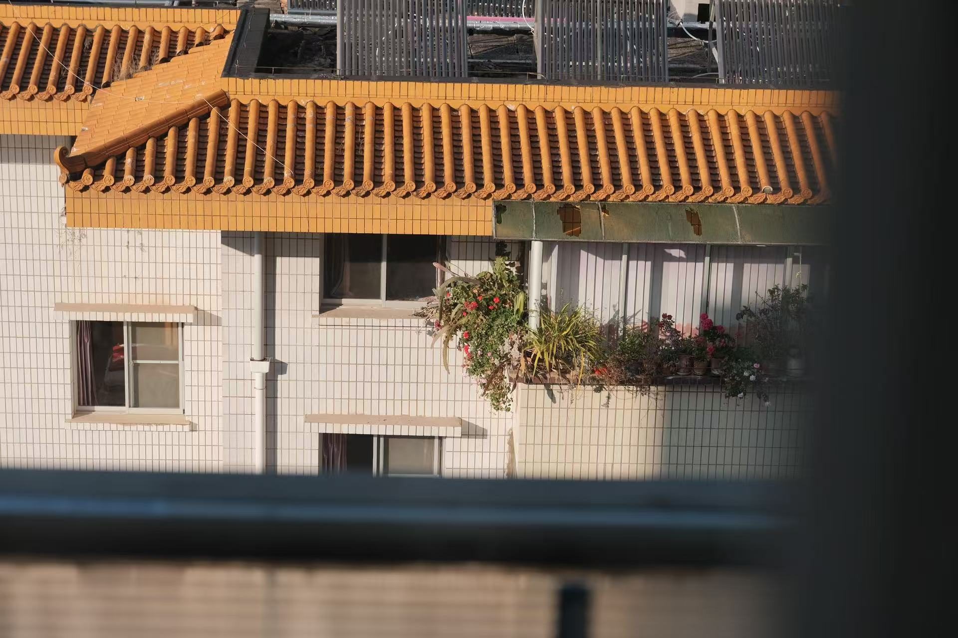 创意咖啡课程带教